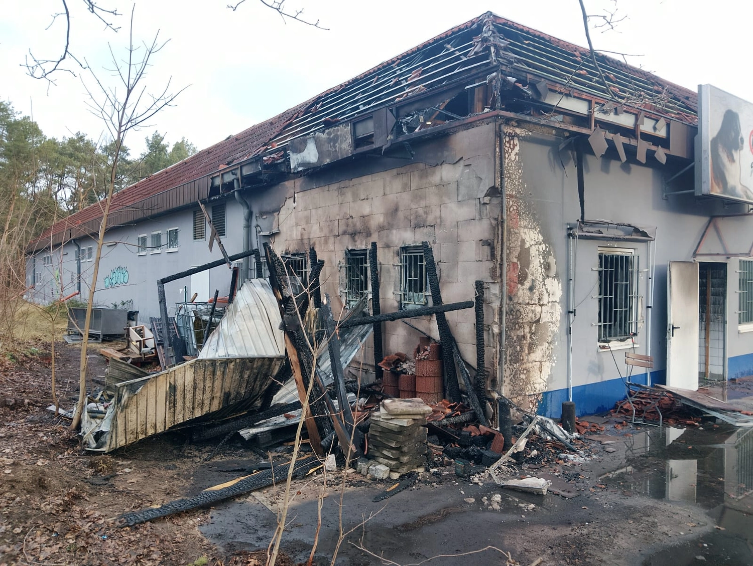 B.a.r.f. auf die Kralle — Hundefutter, Katzenfutter — Cottbus