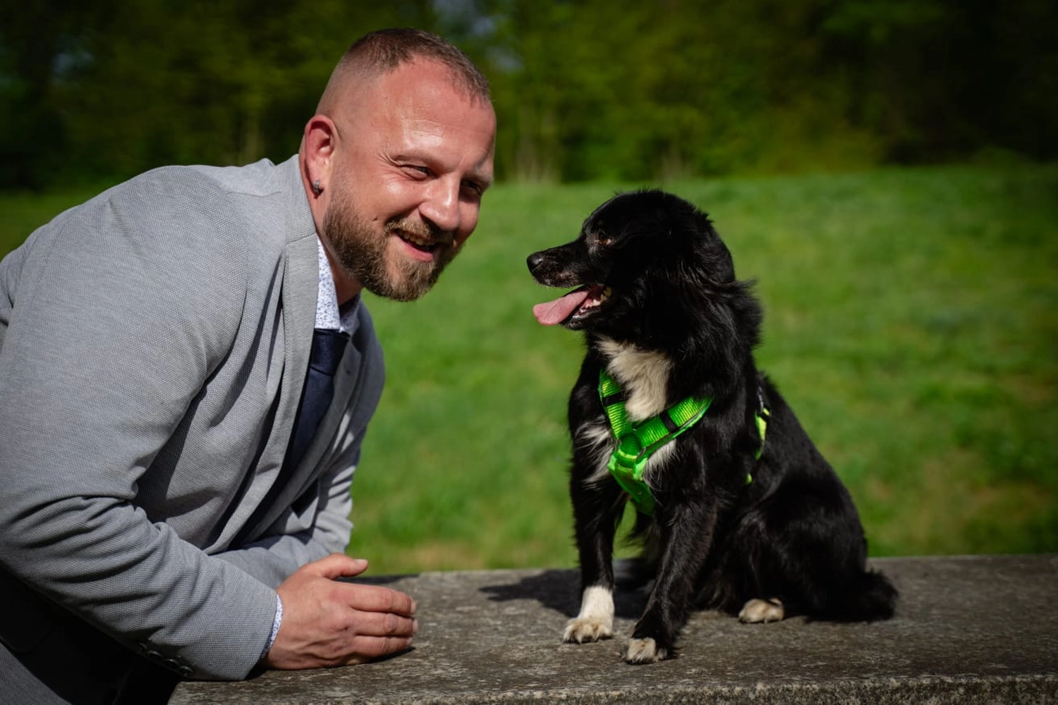 B.a.r.f. auf die Kralle — Hundefutter, Katzenfutter — Cottbus